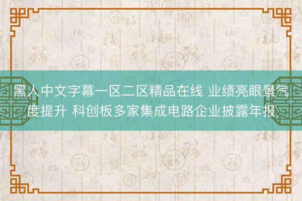 黑人中文字幕一区二区精品在线 业绩亮眼景气度提升 科创板多家集成电路企业披露年报