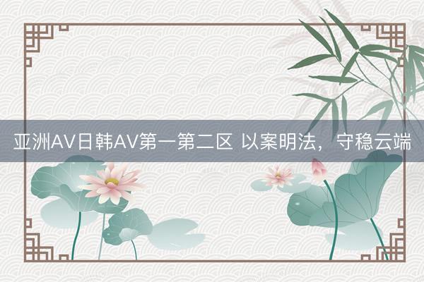 亚洲AV日韩AV第一第二区 以案明法，守稳云端