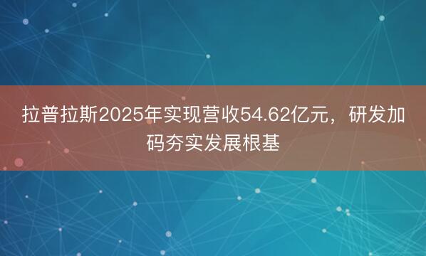 拉普拉斯2025年实现营收54.62亿元，研发加码夯实发展根基