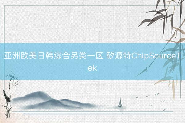 亚洲欧美日韩综合另类一区 矽源特ChipSourceTek