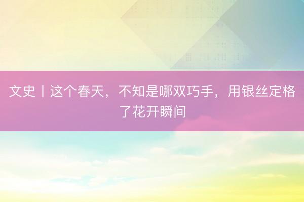 文史丨这个春天,不知是哪双巧手,用银丝定格了花开瞬间