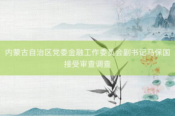 内蒙古自治区党委金融工作委员会副书记马保国接受审查调查