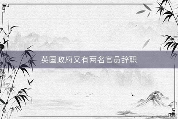 英国政府又有两名官员辞职