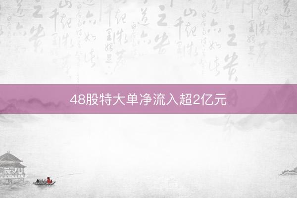 48股特大单净流入超2亿元