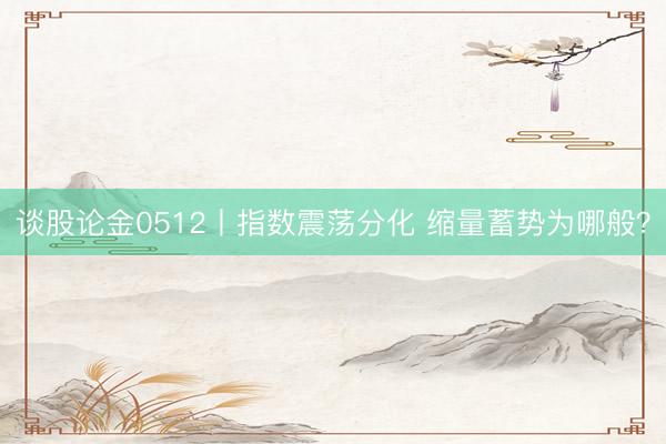 谈股论金0512丨指数震荡分化 缩量蓄势为哪般？