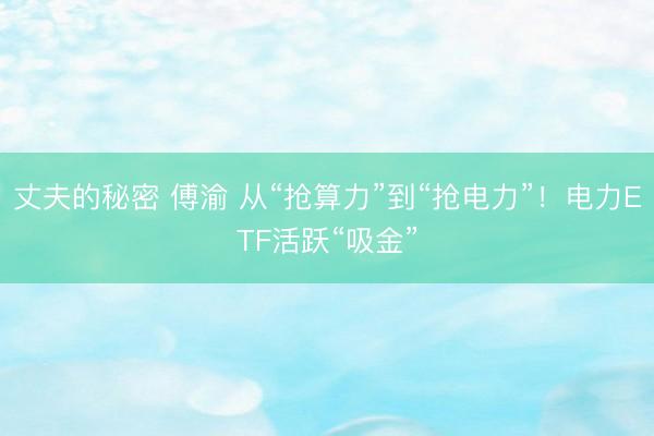 丈夫的秘密 傅渝 从“抢算力”到“抢电力”！电力ETF活跃“吸金”