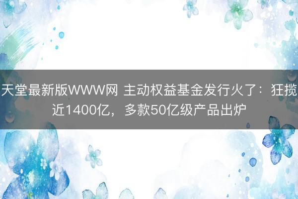 天堂最新版WWW网 主动权益基金发行火了：狂揽近1400亿，多款50亿级产品出炉