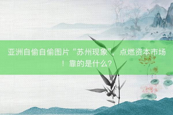 亚洲自偷自偷图片 “苏州现象”，点燃资本市场！靠的是什么？