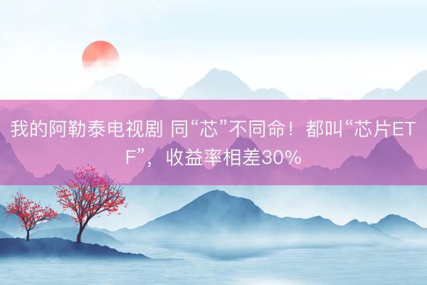 我的阿勒泰电视剧 同“芯”不同命！都叫“芯片ETF”，收益率相差30%