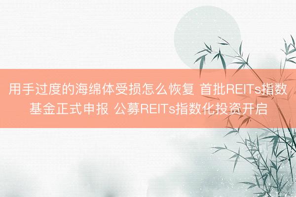 用手过度的海绵体受损怎么恢复 首批REITs指数基金正式申报 公募REITs指数化投资开启