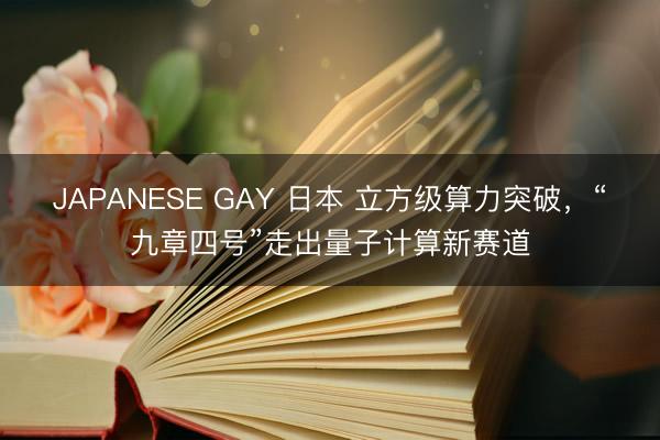 JAPANESE GAY 日本 立方级算力突破，“九章四号”走出量子计算新赛道