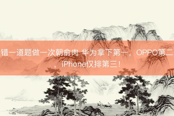 错一道题做一次朝俞肉 华为拿下第一，OPPO第二，iPhone仅排第三！