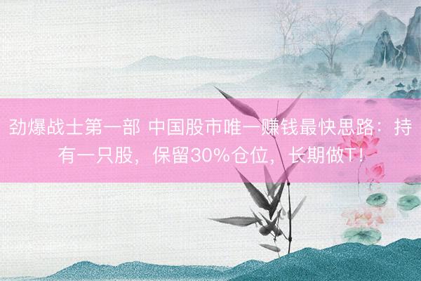 劲爆战士第一部 中国股市唯一赚钱最快思路：持有一只股，保留30%仓位，长期做T！