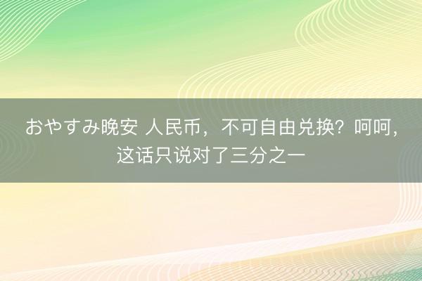 おやすみ晚安 人民币，不可自由兑换？呵呵，这话只说对了三分之一