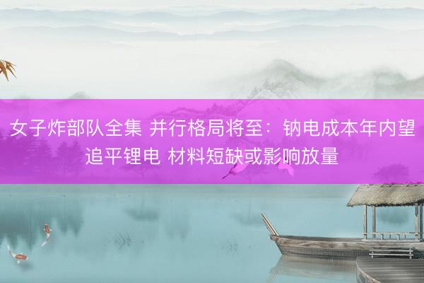 女子炸部队全集 并行格局将至：钠电成本年内望追平锂电 材料短缺或影响放量