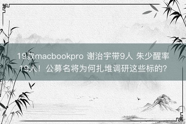 19款macbookpro 谢治宇带9人 朱少醒率19人！公募名将为何扎堆调研这些标的？