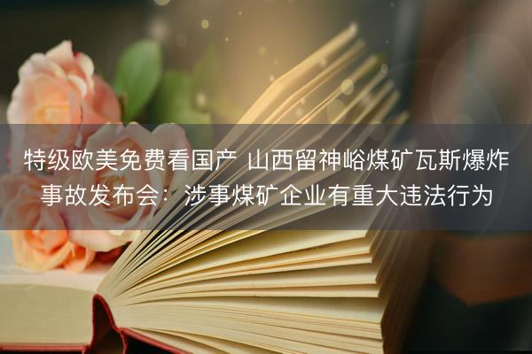 特级欧美免费看国产 山西留神峪煤矿瓦斯爆炸事故发布会：涉事煤矿企业有重大违法行为