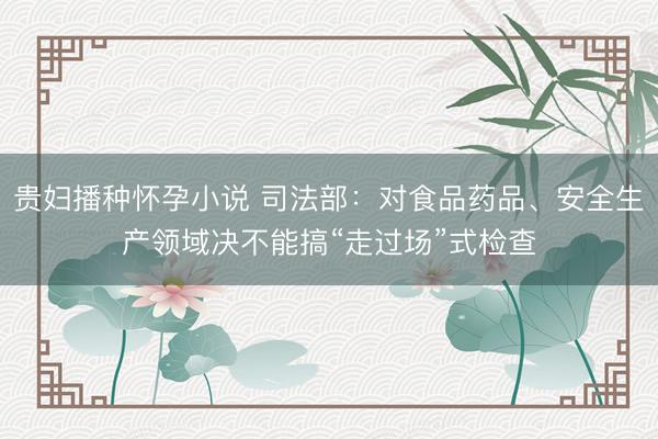 贵妇播种怀孕小说 司法部：对食品药品、安全生产领域决不能搞“走过场”式检查