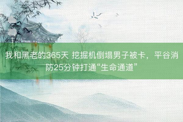 我和黑老的365天 挖掘机倒塌男子被卡，平谷消防25分钟打通“生命通道”