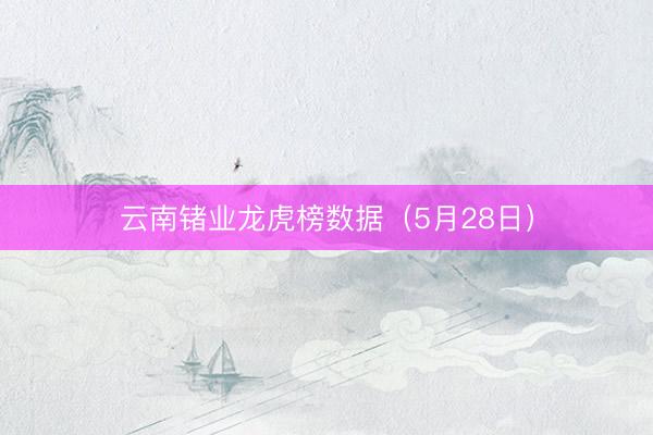 云南锗业龙虎榜数据(5月28日)