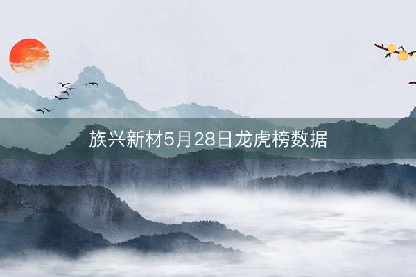族兴新材5月28日龙虎榜数据