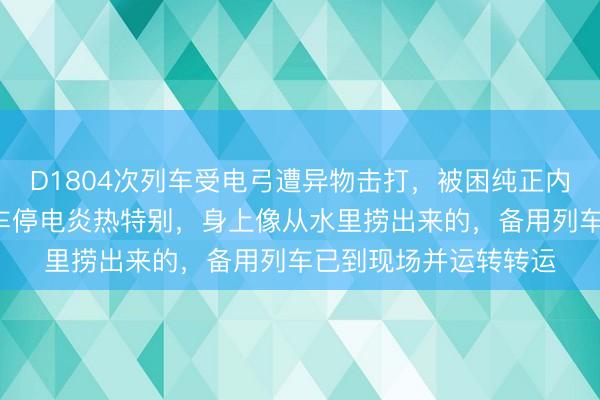 D1804次列车受电弓遭异物击打,被困纯正内超2小时,乘客称全车停电炎热特别,身上像从水里捞出来的,备用列车已到现场并运转转运