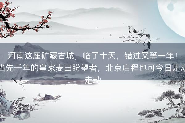 河南这座矿藏古城，临了十天，错过又等一年！当先千年的皇家麦田盼望者，北京启程也可今日走动