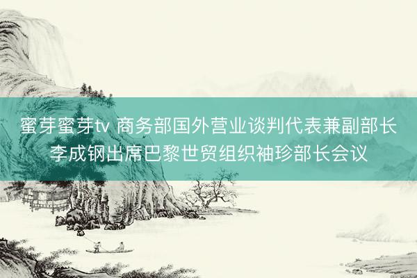 蜜芽蜜芽tv 商务部国外营业谈判代表兼副部长李成钢出席巴黎世贸组织袖珍部长会议