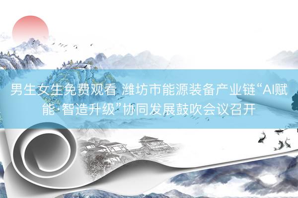 男生女生免费观看 潍坊市能源装备产业链“AI赋能·智造升级”协同发展鼓吹会议召开
