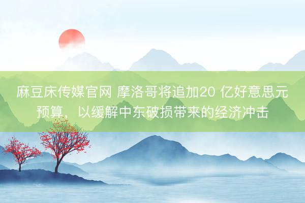 麻豆床传媒官网 摩洛哥将追加20 亿好意思元预算，以缓解中东破损带来的经济冲击