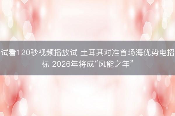 试看120秒视频播放试 土耳其对准首场海优势电招标 2026年将成“风能之年”