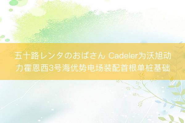 五十路レンタのおばさん Cadeler为沃旭动力霍恩西3号海优势电场装配首根单桩基础