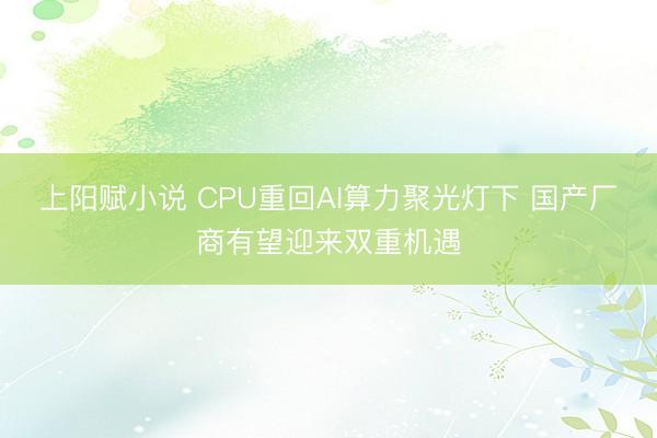 上阳赋小说 CPU重回AI算力聚光灯下 国产厂商有望迎来双重机遇