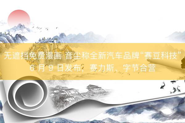 无遮挡免费漫画 音尘称全新汽车品牌“赛豆科技”6 月 9 日发布,赛力斯、字节合营