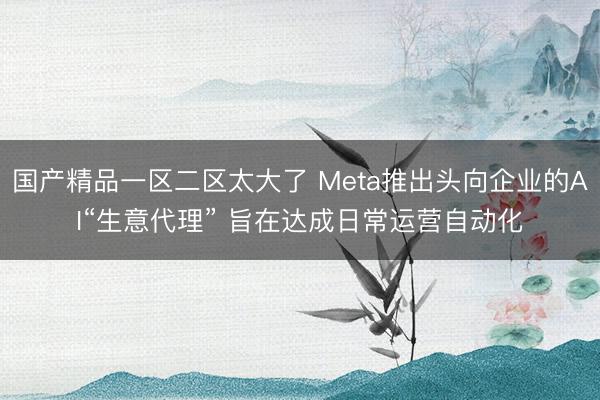 国产精品一区二区太大了 Meta推出头向企业的AI“生意代理” 旨在达成日常运营自动化
