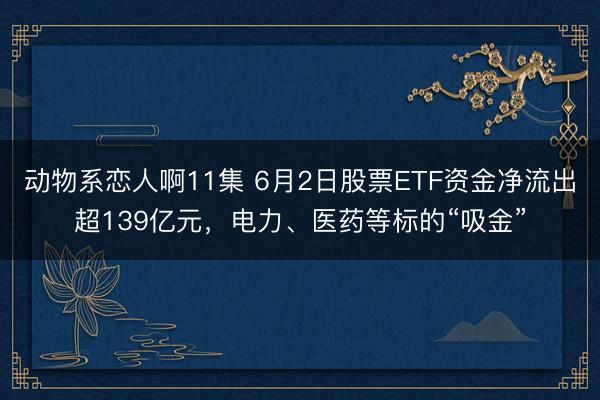 动物系恋人啊11集 6月2日股票ETF资金净流出超139亿元，电力、医药等标的“吸金”