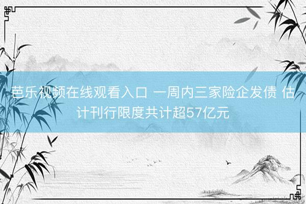 芭乐视频在线观看入口 一周内三家险企发债 估计刊行限度共计超57亿元