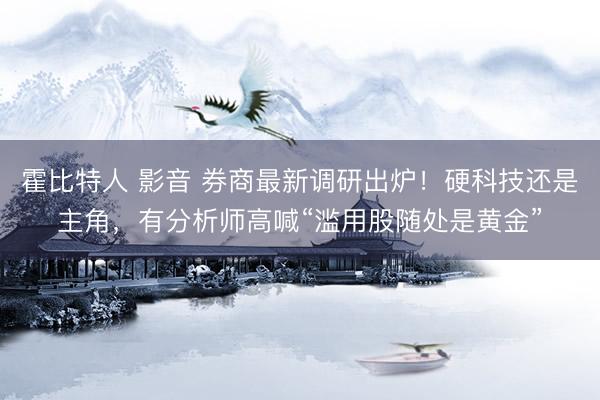 霍比特人 影音 券商最新调研出炉！硬科技还是主角，有分析师高喊“滥用股随处是黄金”