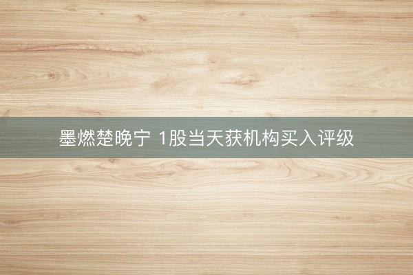 墨燃楚晚宁 1股当天获机构买入评级