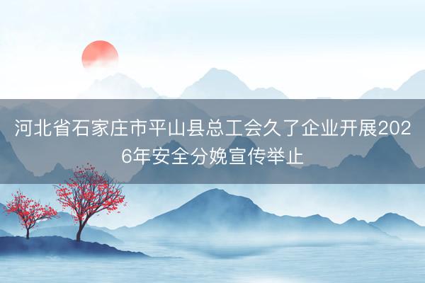 河北省石家庄市平山县总工会久了企业开展2026年安全分娩宣传举止