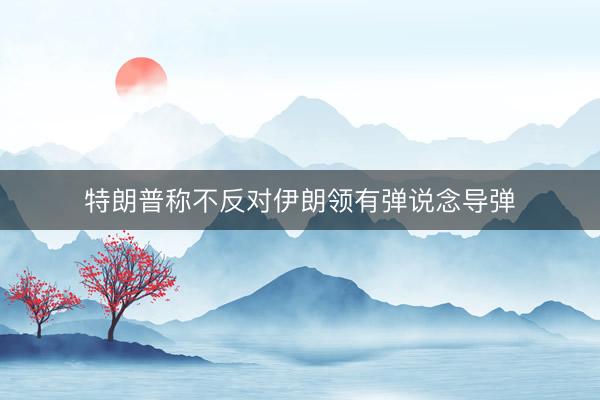 特朗普称不反对伊朗领有弹说念导弹